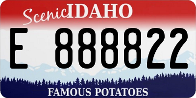 ID license plate E888822