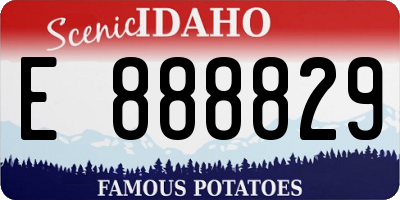 ID license plate E888829