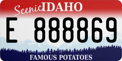 ID license plate E888869