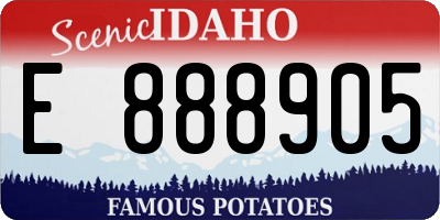 ID license plate E888905