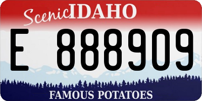 ID license plate E888909