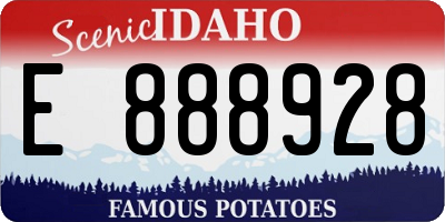 ID license plate E888928