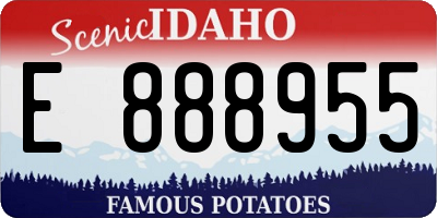 ID license plate E888955