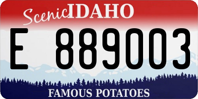 ID license plate E889003