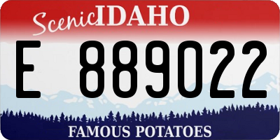 ID license plate E889022