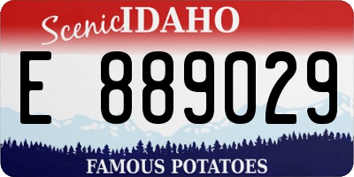 ID license plate E889029