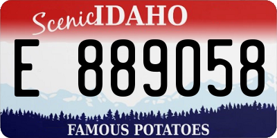 ID license plate E889058