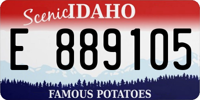 ID license plate E889105