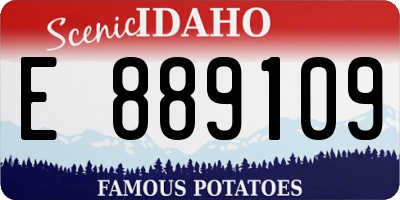ID license plate E889109