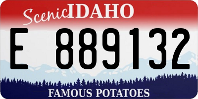 ID license plate E889132