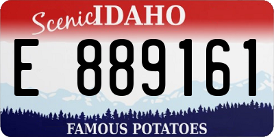 ID license plate E889161