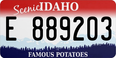 ID license plate E889203