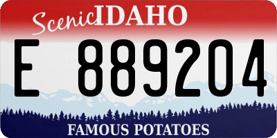 ID license plate E889204