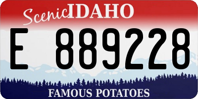 ID license plate E889228