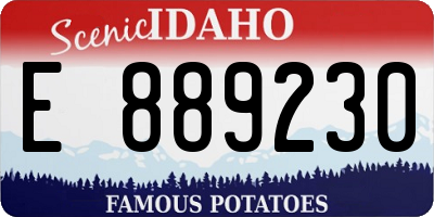 ID license plate E889230