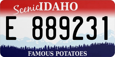 ID license plate E889231