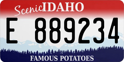 ID license plate E889234