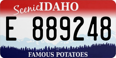 ID license plate E889248