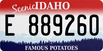 ID license plate E889260