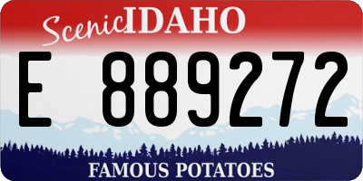 ID license plate E889272