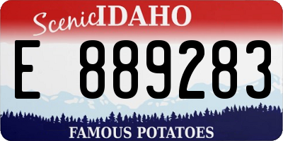 ID license plate E889283