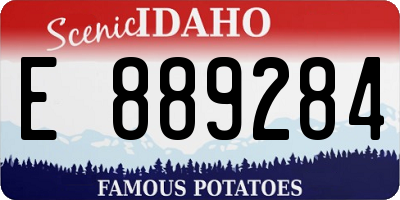 ID license plate E889284