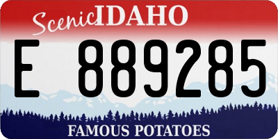 ID license plate E889285