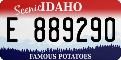ID license plate E889290