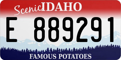 ID license plate E889291