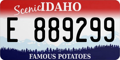 ID license plate E889299