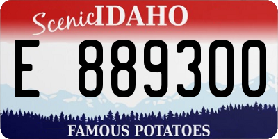 ID license plate E889300