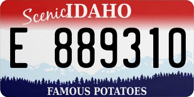 ID license plate E889310
