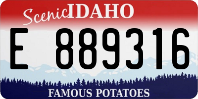ID license plate E889316