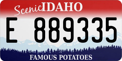 ID license plate E889335