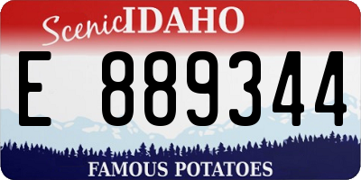 ID license plate E889344