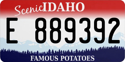 ID license plate E889392