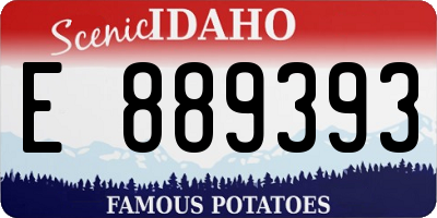 ID license plate E889393