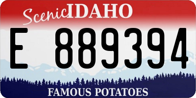 ID license plate E889394