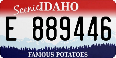 ID license plate E889446