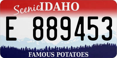 ID license plate E889453