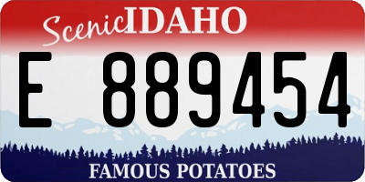 ID license plate E889454