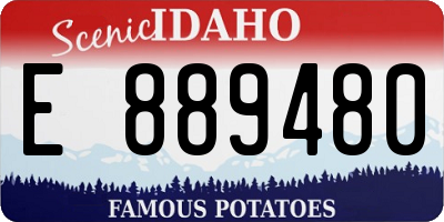 ID license plate E889480