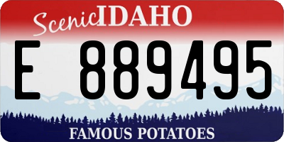 ID license plate E889495
