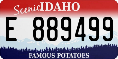 ID license plate E889499