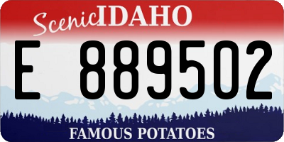 ID license plate E889502