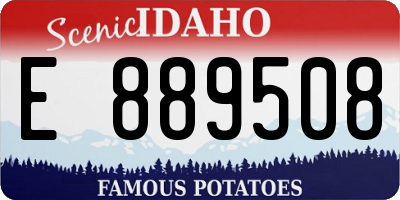 ID license plate E889508