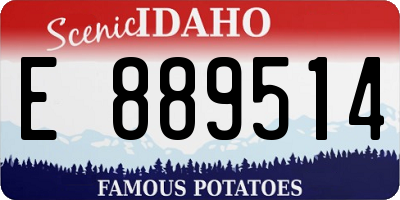 ID license plate E889514
