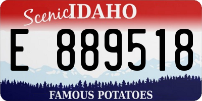 ID license plate E889518
