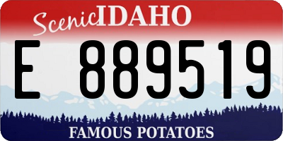 ID license plate E889519