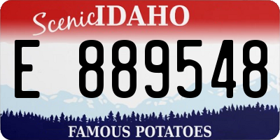 ID license plate E889548